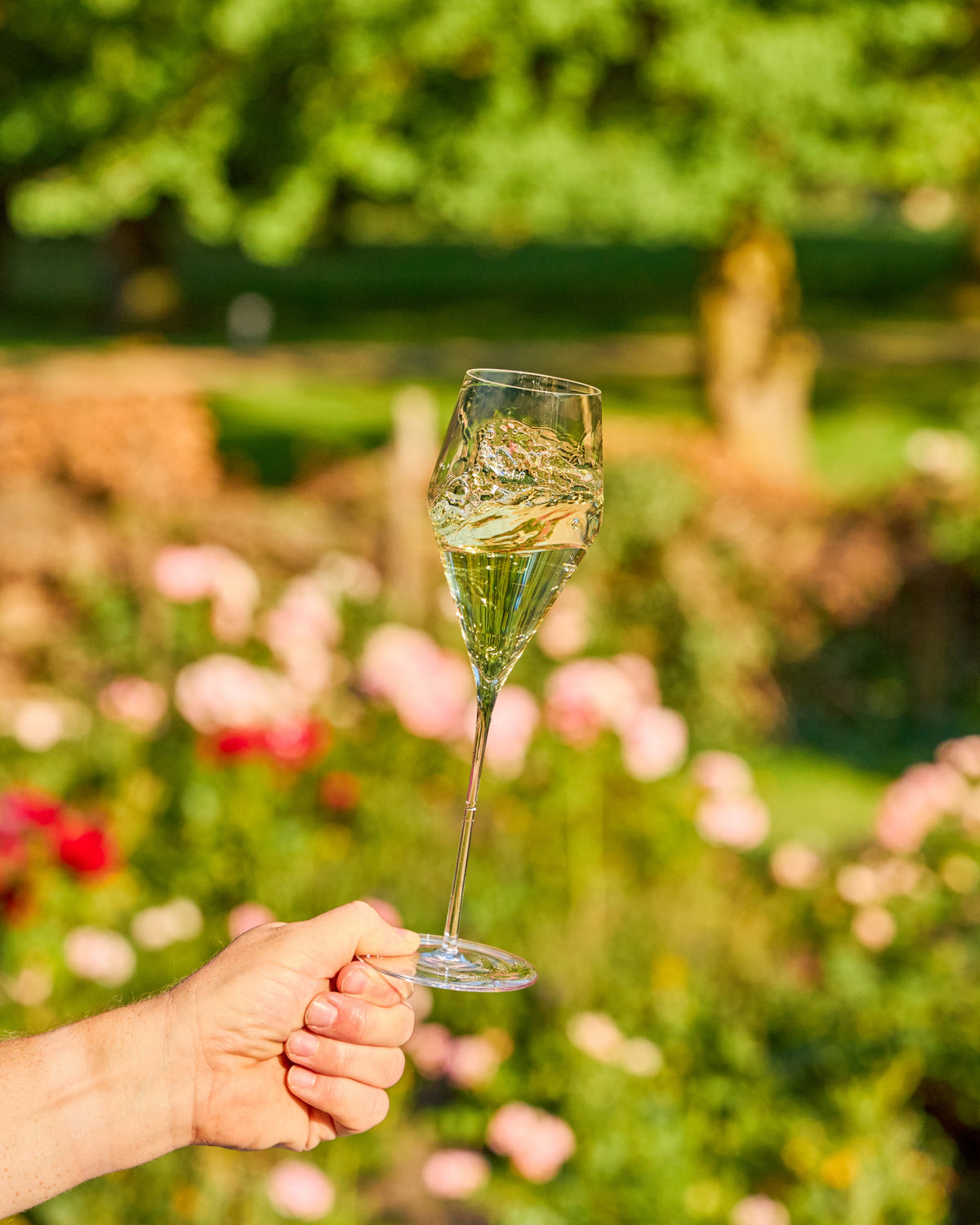 Zalto Champagne Glass | Mouth-Blown Flute