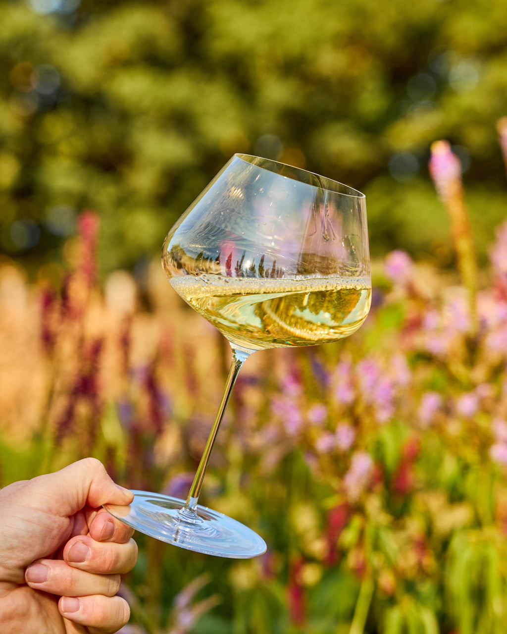 A hand holding a stemmed Zalto Balance wine glass filled with white wine in an outdoor garden setting with blurred green foliage and pink flowers.