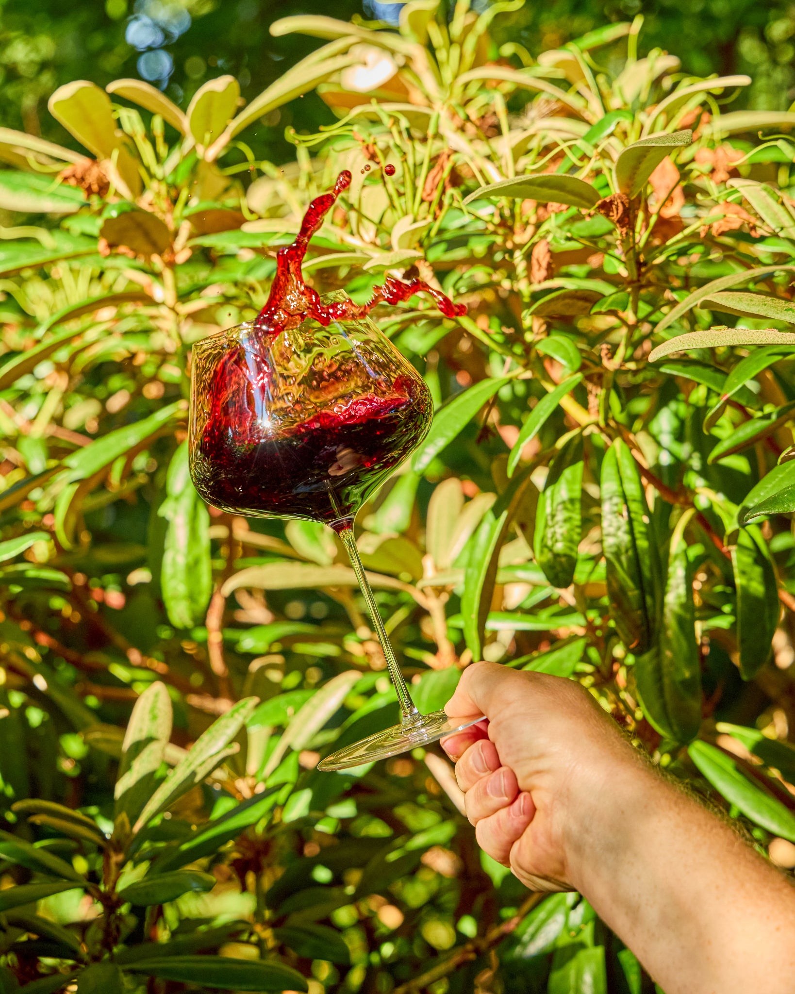 A hand holding a Zalto Balance wine glass with a dramatic splash of red wine in mid-air, set against a background of green rhododendron foliage in bright sunlight.