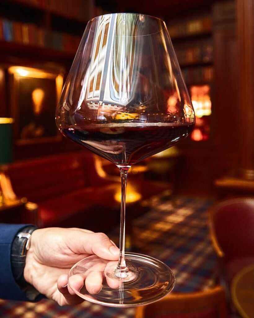 Zalto Burgundy Glass, Zalto, Zalto glass, Zalto glas, Zalto Denk&#39;art, Zalto wine glass