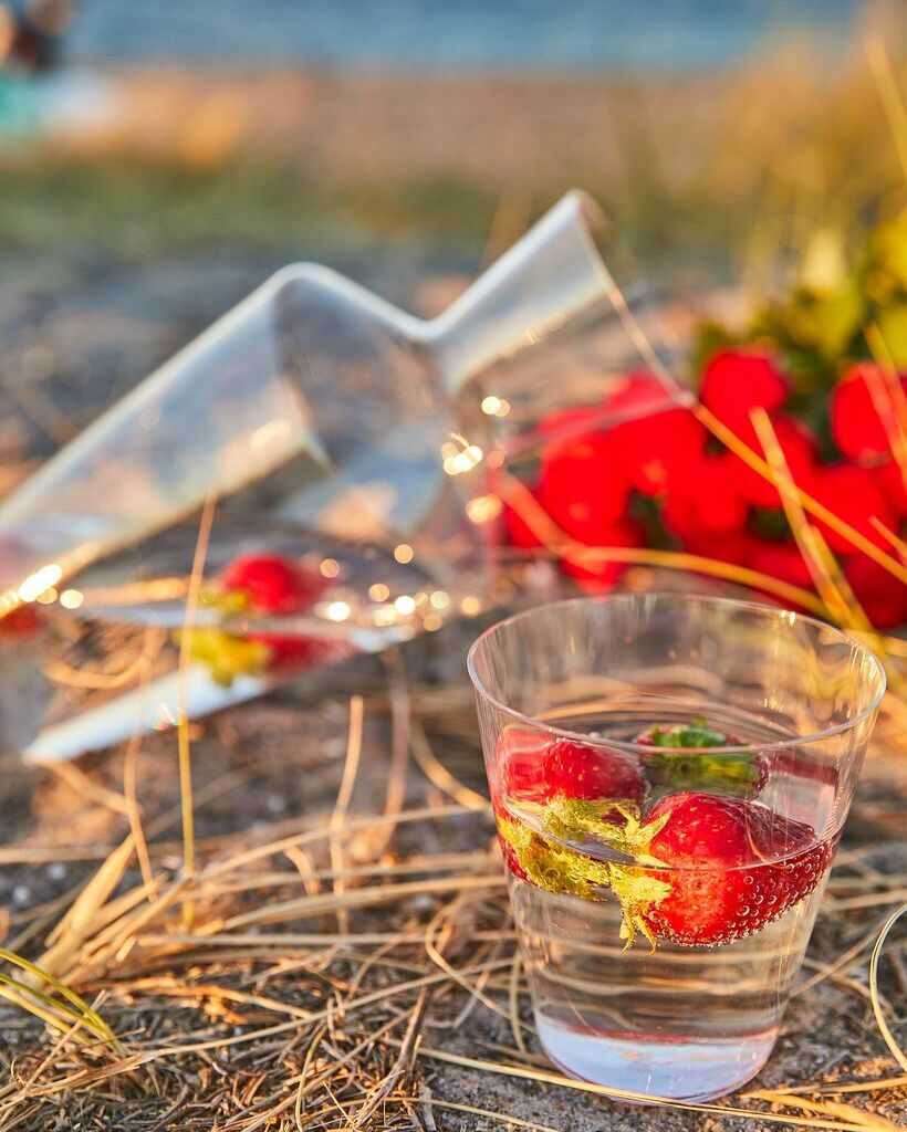 Zalto Coupe Crystal Clear, Zalto Denk'art, Zalto glass, zalto vandglas, zalto vinglas, zalto denk'art glas, zaltoglas