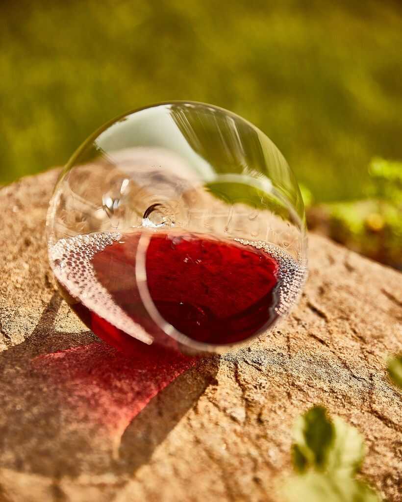 Zalto Gravitas Omega, Zalto, Zalto glas, Zalto vinglas, Zalto, Zalto Denk&#39;art